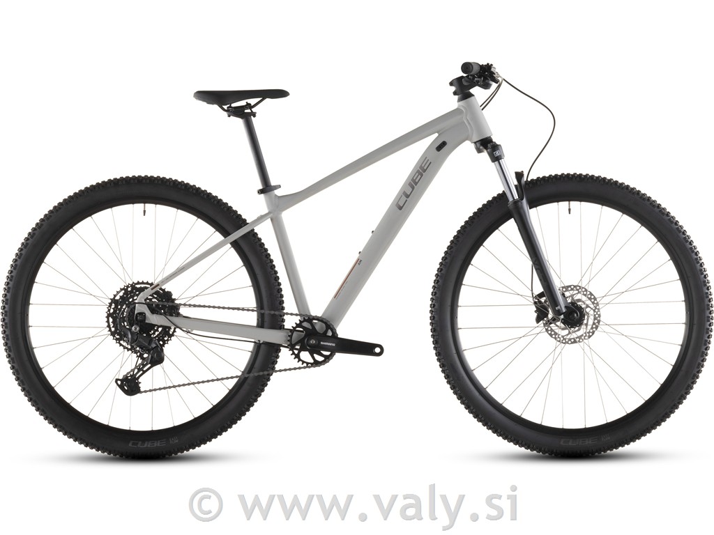 Cube gorsko kolo AIM Pro siva (greige`n´titan)