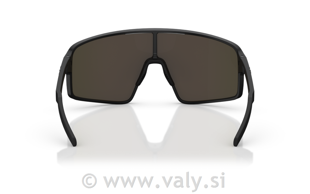 Bliz očala P001 mat črna; rjavo roza večbarvno steklo