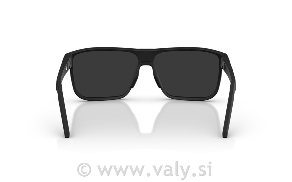 Bliz očala A008 črna; sivo steklo