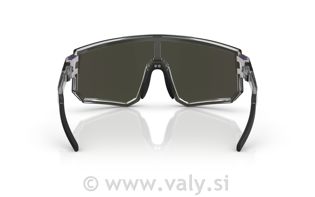 Bliz očala P005 transparent siva; zelena barva stekel