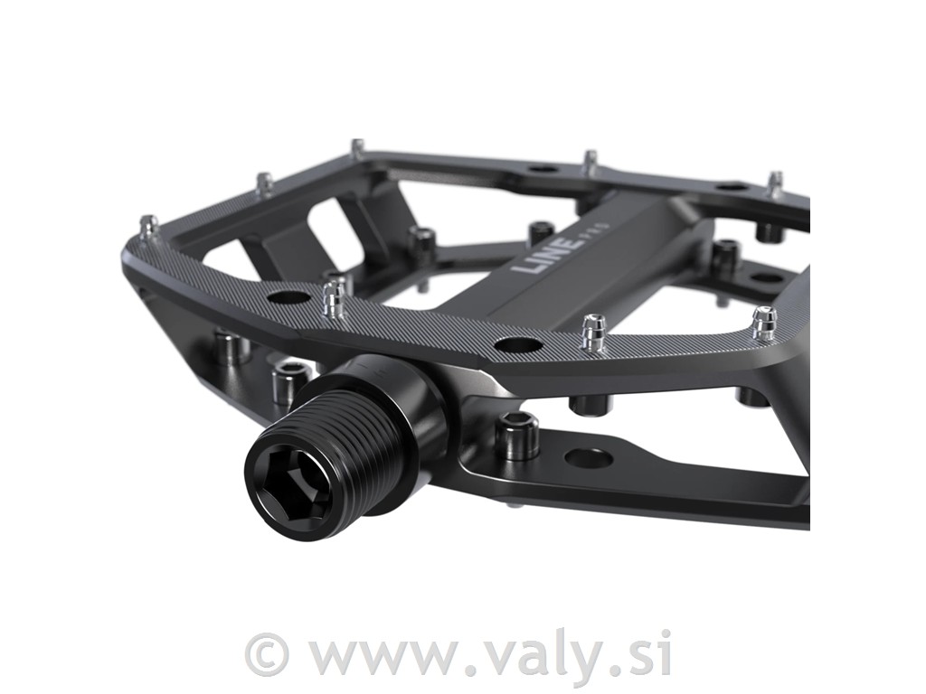 Trek pedala flat Line Pro