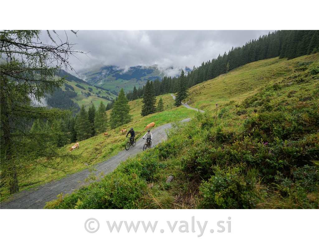 Cube kolo Stereo Hybrid ONE22 PRO vijolična