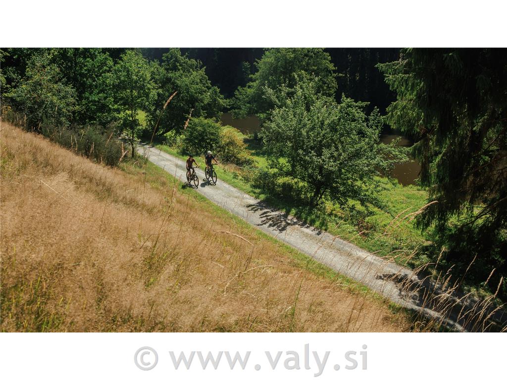 Cube žensko kolo Reaction Hybrid Performance 600 vijola