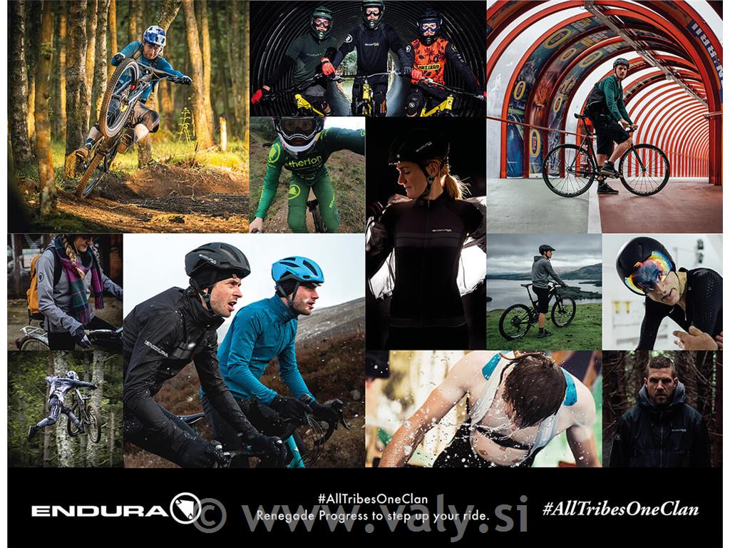 Endura nogavice CoolMax® Stripe 2 para temno +svetlo modre