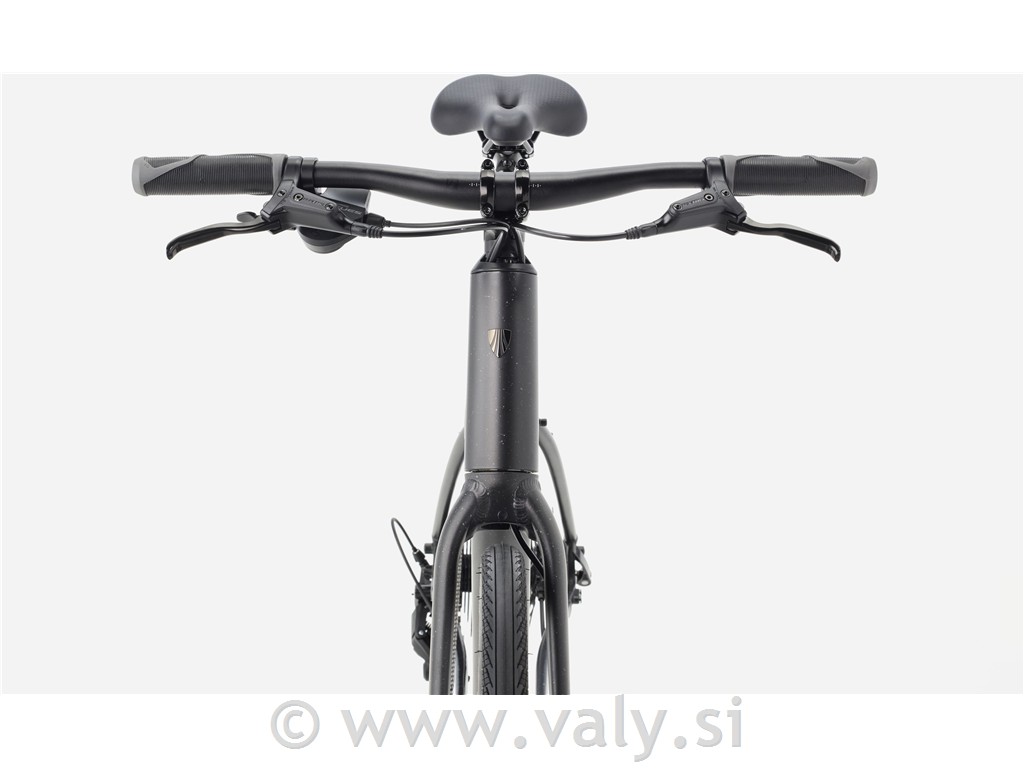 Trek fitnes kolo FX 2 SO siva