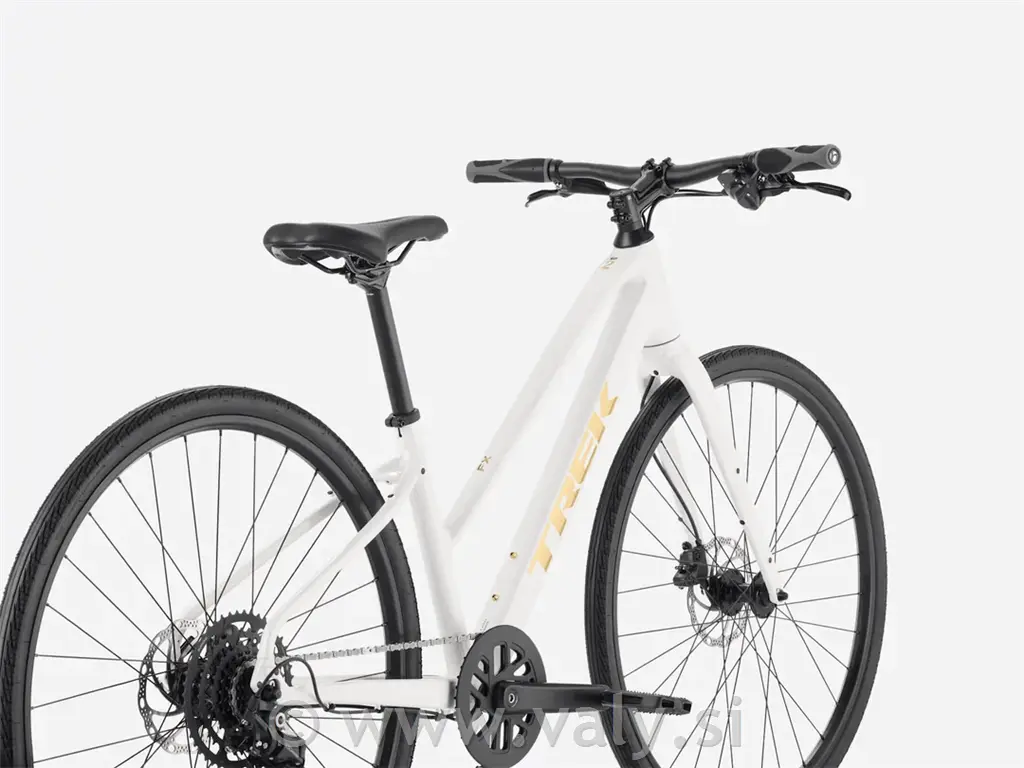 Trek fitnes kolo FX 2 bela
