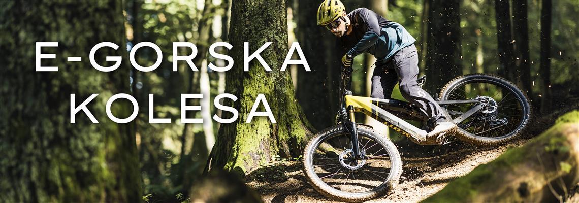 Električna gorska kolesa