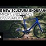 Merida kolo Scultura Endurance 4000 warm slate grey (black) Merida kolo Scultura Endurance 4000 warm slate grey (black)
